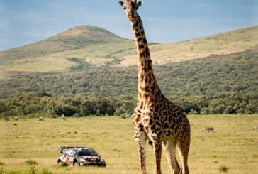 WRC: Un sublime Rovanperä arrasa y gana en Kenia