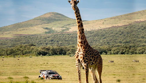 WRC: Un sublime Rovanperä arrasa y gana en Kenia