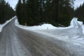 WRC: Finalmente se va a correr en Suecia, con la nieve como protagonista