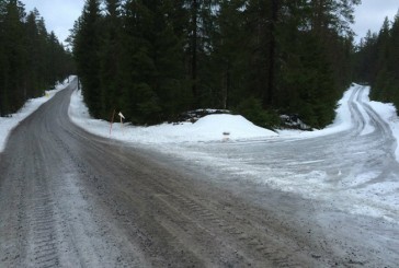 WRC: Finalmente se va a correr en Suecia, con la nieve como protagonista