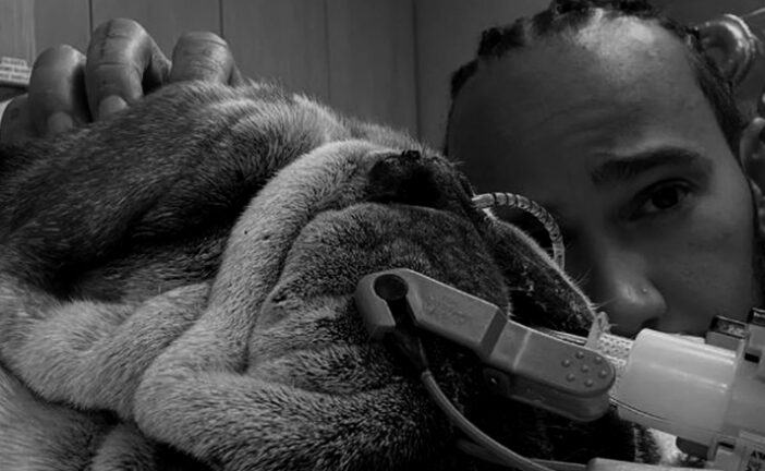 Hamilton: “Tuve que tomar la decisión más difícil de mi vida”